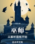 巫师:从解析面板开始