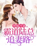 替嫁冷妻：霸道陆总追妻路
