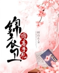 锦衣卫蹲妻手札（美食）