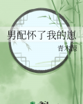 男配怀了我的崽