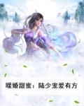 暖婚甜蜜：陆少宠爱有方