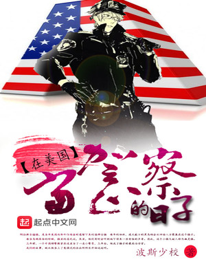 在美国当警察的日子小说
