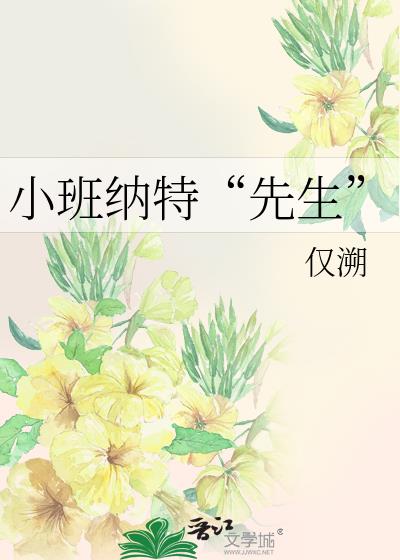 小班纳特“先生”
