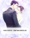 小魔王大闹天宫:逃妻与魔王的爱恋之旅