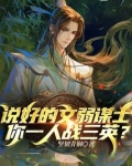说好的文弱谋士，你一人战三英？