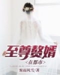 至尊赘婿在都市