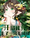 开局我竟生了一窝毛绒绒