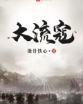 大流寇