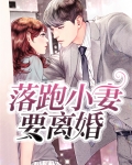 落跑小妻要离婚
