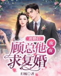离婚后,顾总他夜夜求复婚