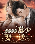 错爱成婚:慕少娶一送一