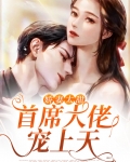 首席娇妻是大佬